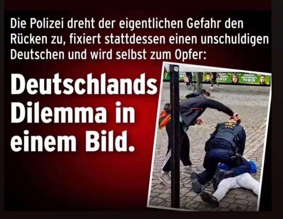 Michael Stürzenberger, Mannheim, MANN mit der BLAUEN Jacke, Iraner, Rouven, Afghane, Polizist, Rouven L., BPE, Attentat, Mord,